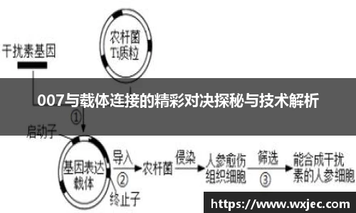 星空·综合体育