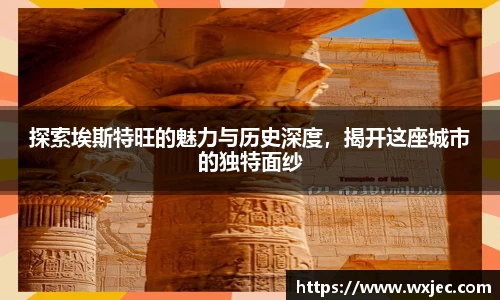 星空电子首页网站